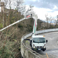 Cela DT TRUCK 25 - 5