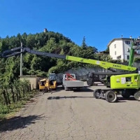 Zoomlion ZA20J - 1