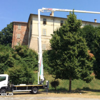 Cela DT Truck 28 - 2
