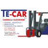 Logo TE-CAR