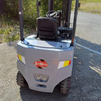 Oleo Motori LEO 250 E - 2