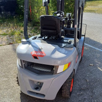 Oleo Motori LEO 250 D - 2