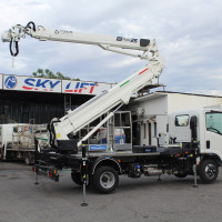Cela DT Truck 25 - 5