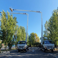 Cela DT Truck 30 - 8