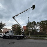 Cela DT Truck 28FE - 1