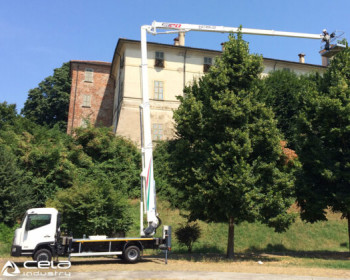 Cela DT Truck 28 Cela