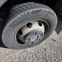 Oil&steel Snake 19.11 City - 4