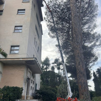 Palazzani TSJ34 - 2