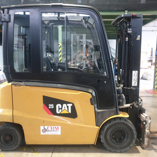 Caterpillar EP25N