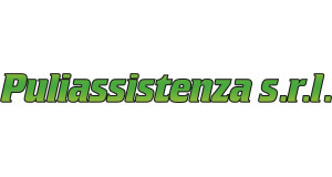 Logo Puliassistenza srl