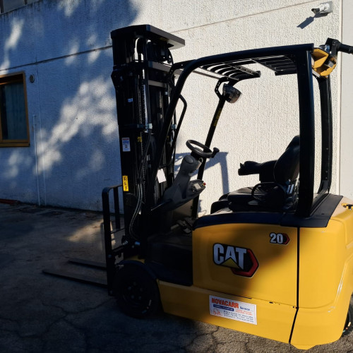 Caterpillar EP20ANT