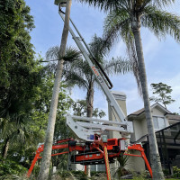 Easy Lift R190 - 5