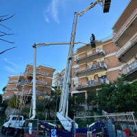Cela DT Truck 28FE - 7